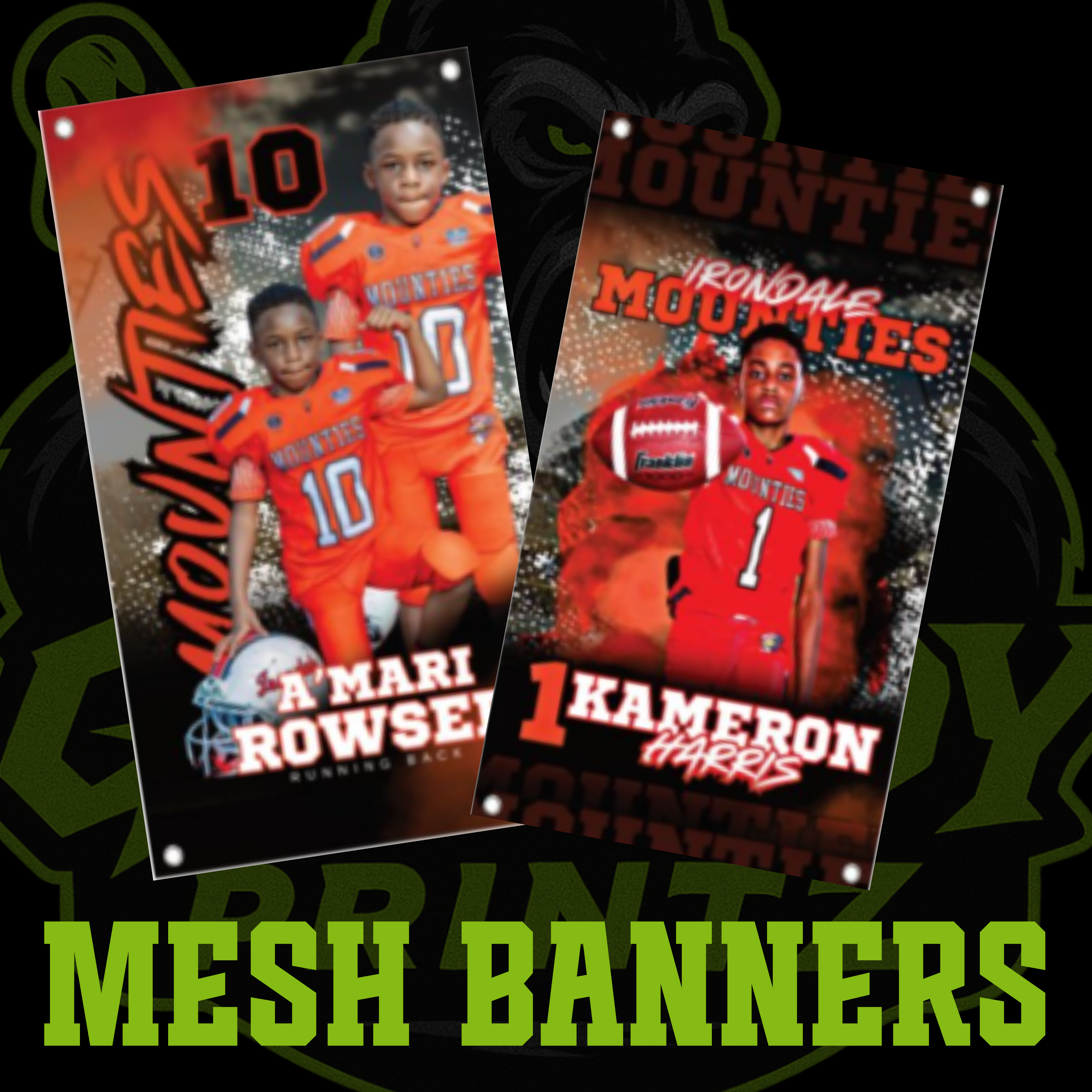Mesh Player Banner